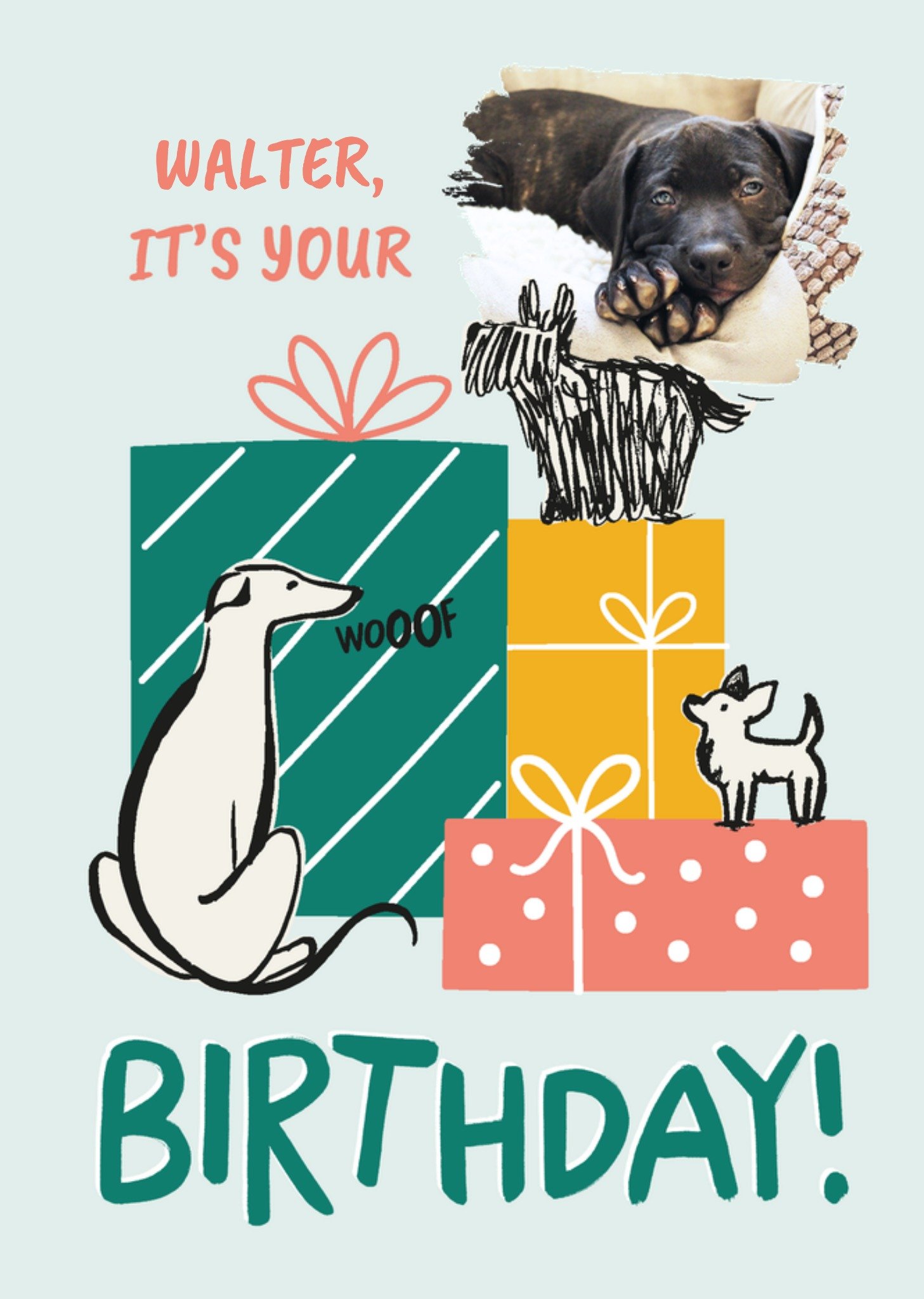 Moonpig For The Dog Photo Upload Birthday Card