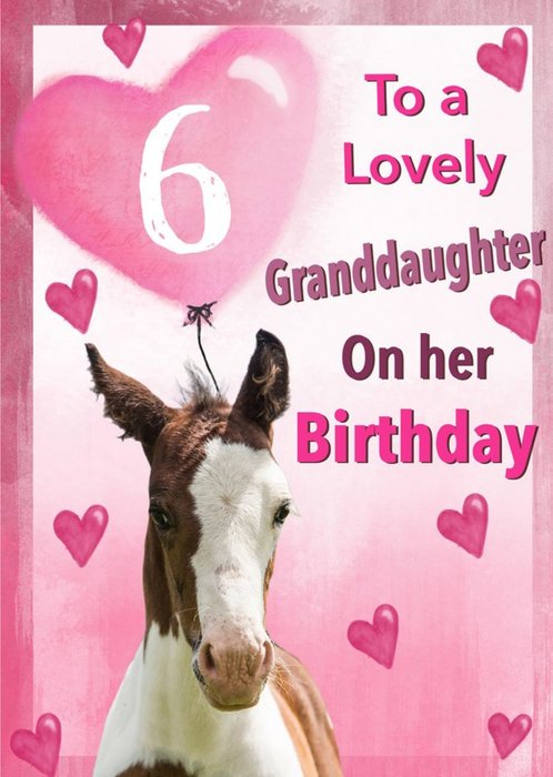 Alex Sharp Photography Of Pony Female 6th Birthday Card