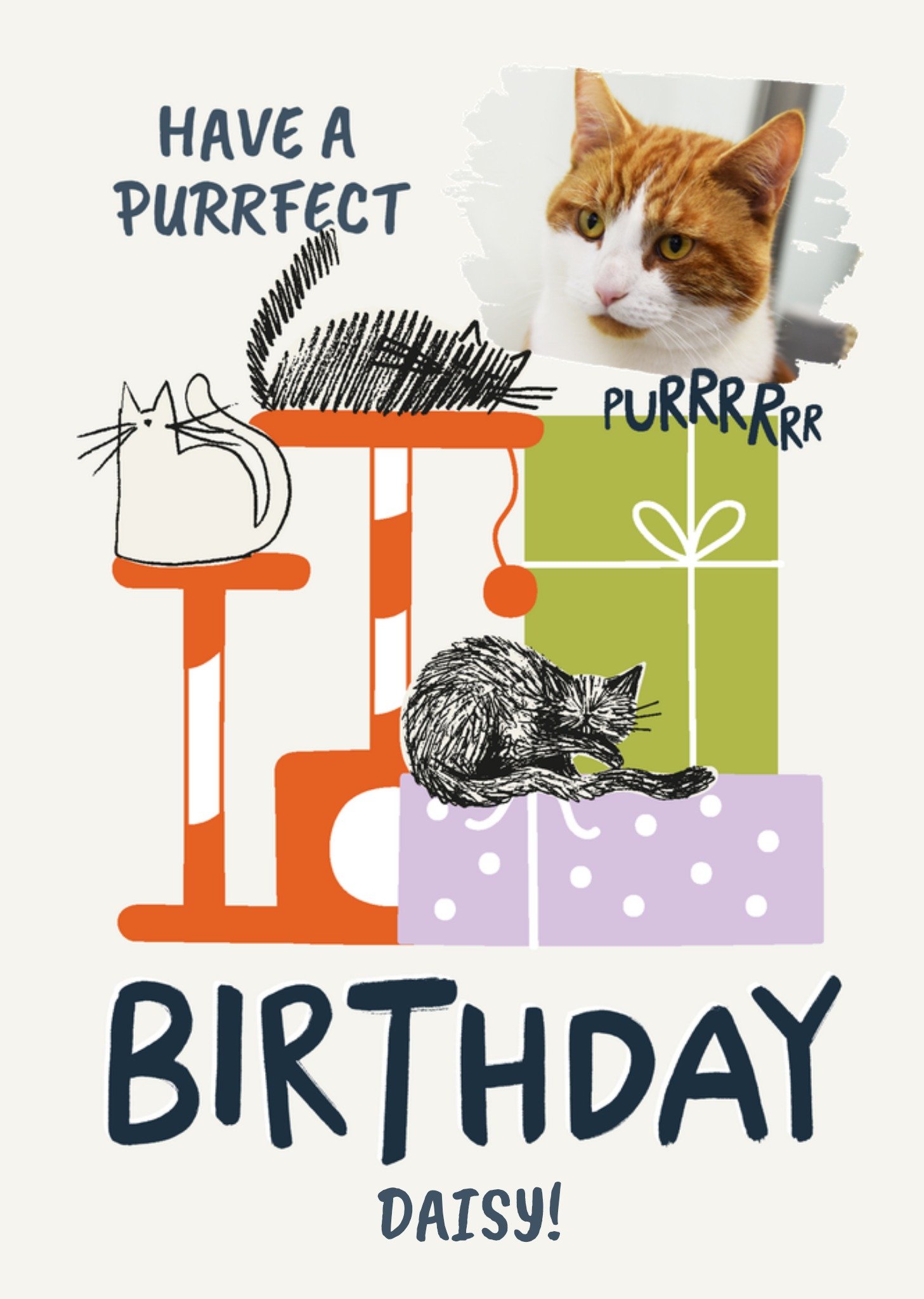Moonpig Have A Purrfect Birthday Photo Upload Card