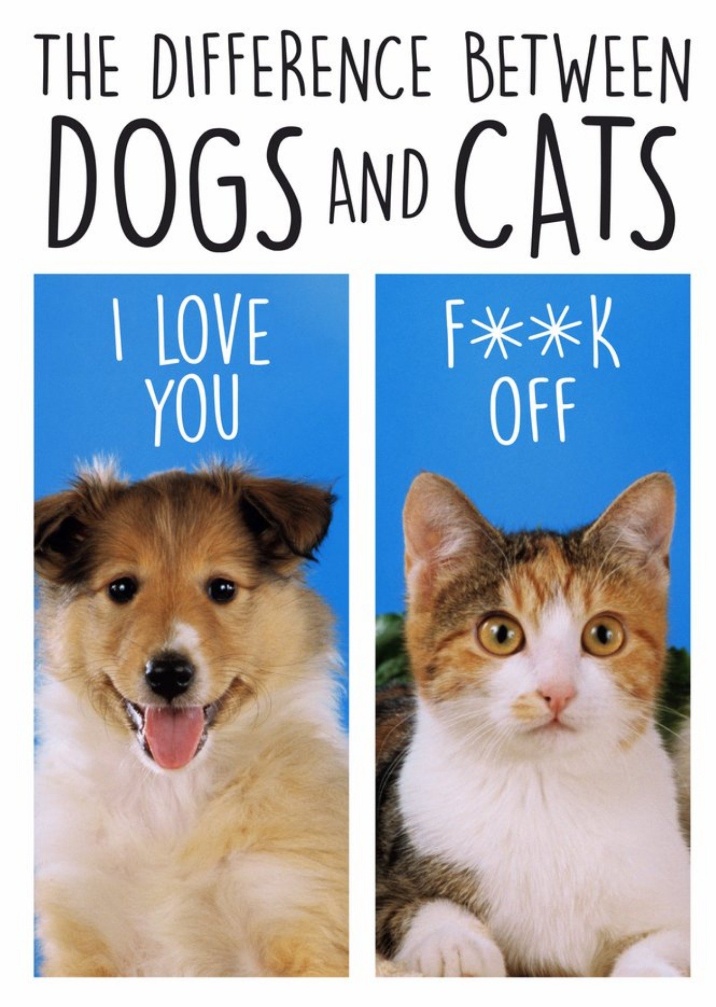 Moonpig The Difference Between Dogs And Cats Funny Card