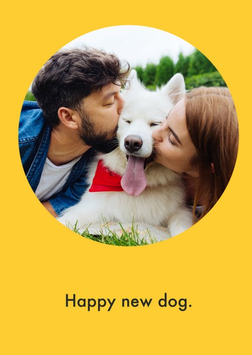 Deadpan Typographic New Happy Dog Photo Upload Card