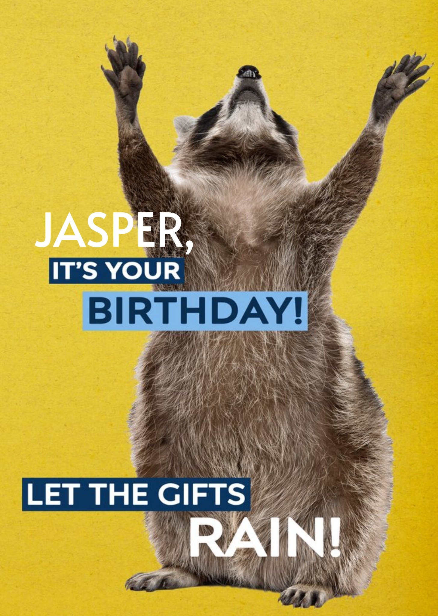 Moonpig Birthday Card - Photo Humour - Animal Antics - Birthday Gifts