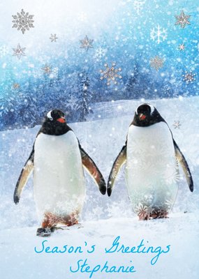 Penguin Christmas Card