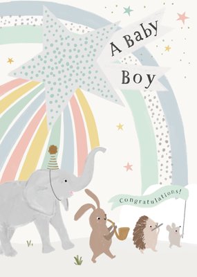 Baby Boy Congratulations Illustrated Card