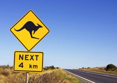 Kangaroo Road Sign