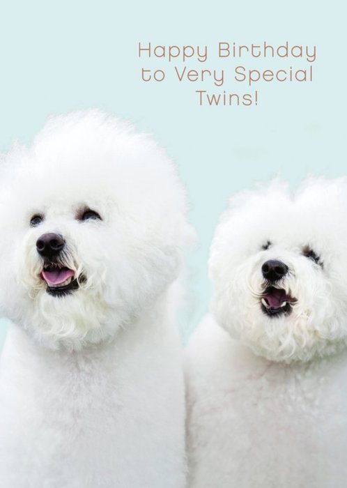 UK Greetings Carlton Cards Dogs Cute Special Twins Birthday Card