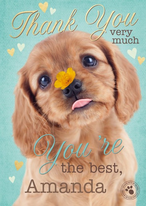 Cute Puppy Personalised Thank You Card