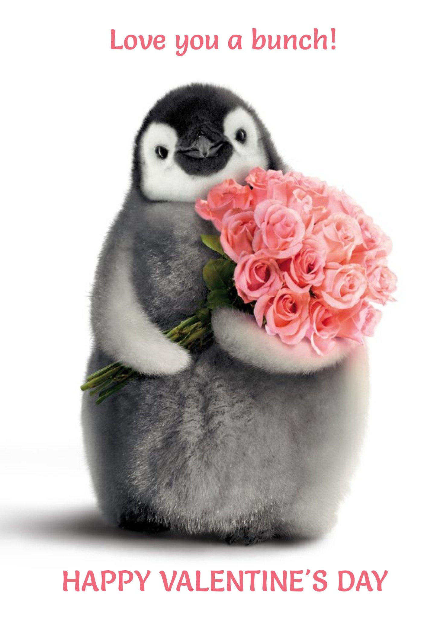 Moonpig Cute Penguin Love You A Bunch Happy Valentine's Day Card