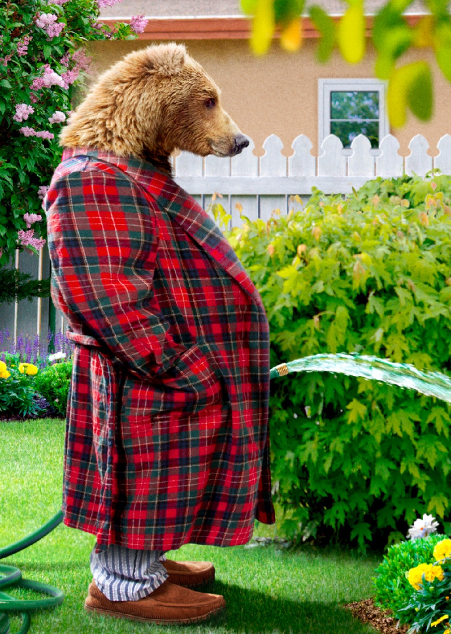 Moonpig Avanti Funny Papa Bear With A Garden Hose Watering Pants Birthday Card, Large