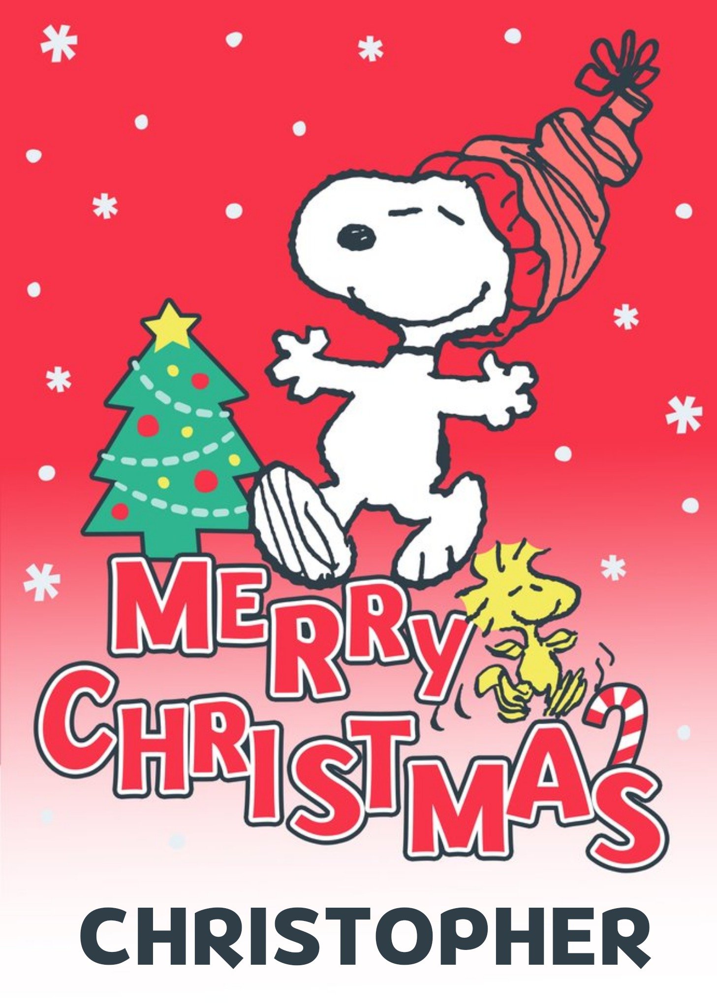Moonpig Cute Illustrated Peanuts Snoopy Merry Christmas Card