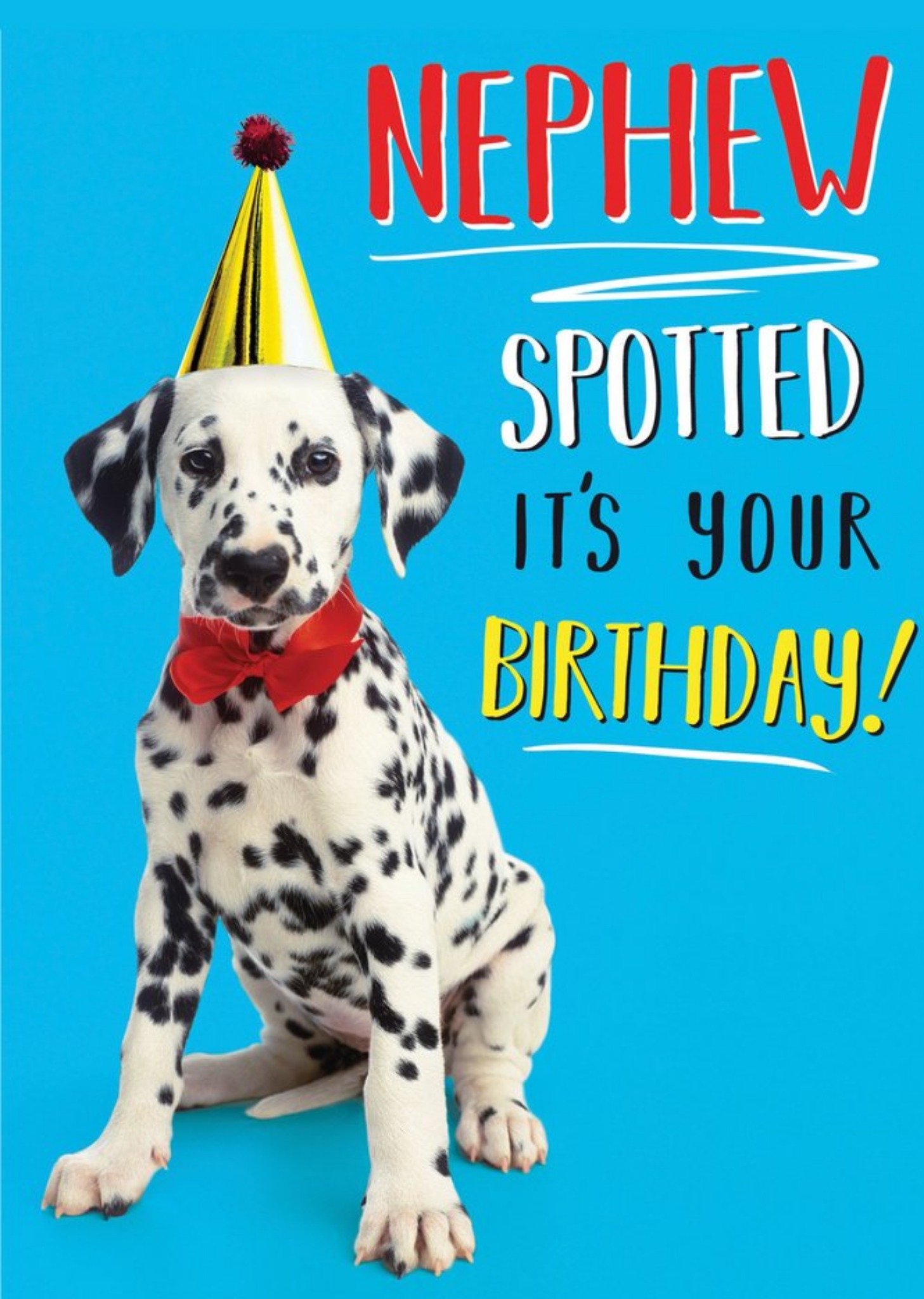 Moonpig Dog Nephew Spotted It's Your Birthday Card