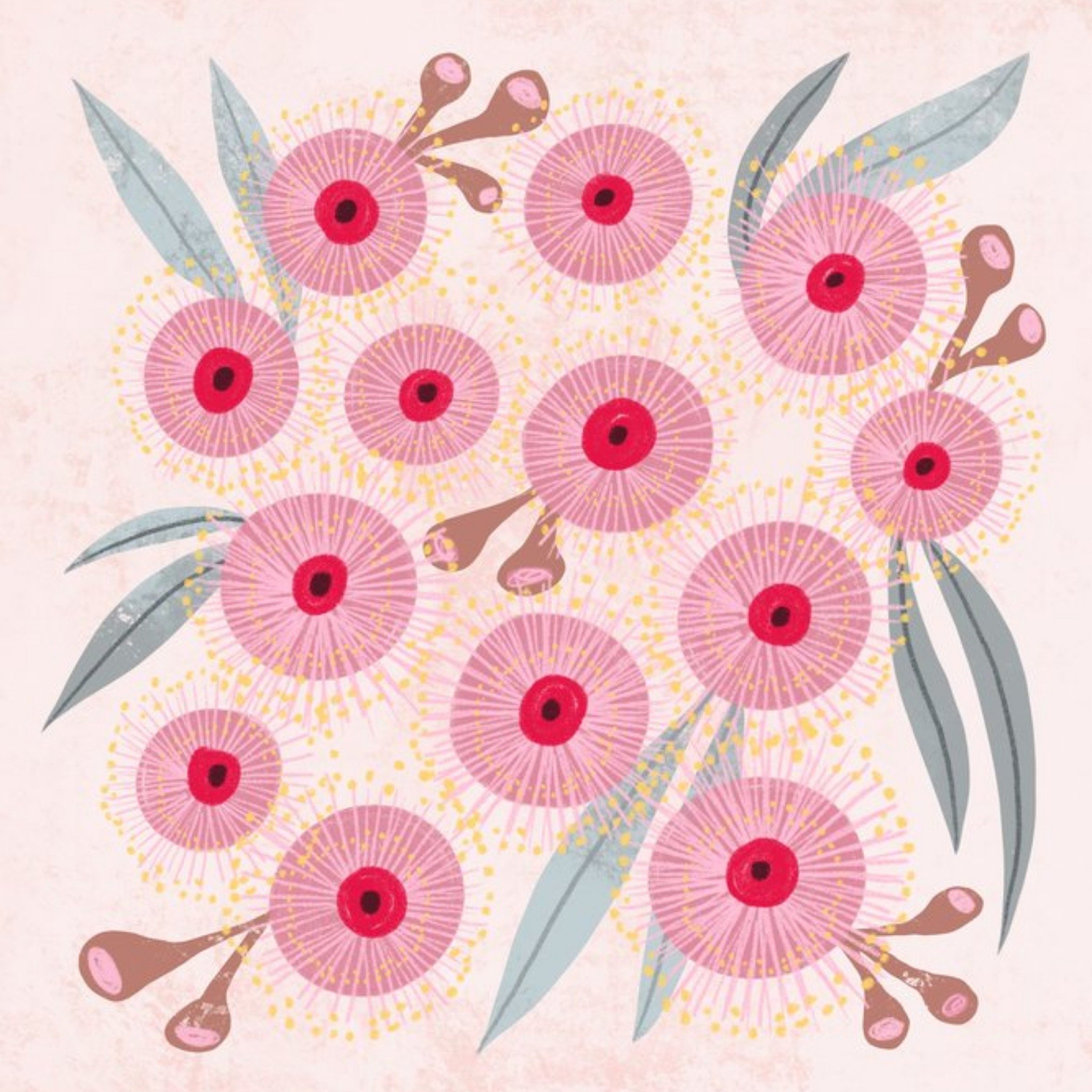 Friends Cat Macinnes Illustration Native Floral Australia Just A Note Card