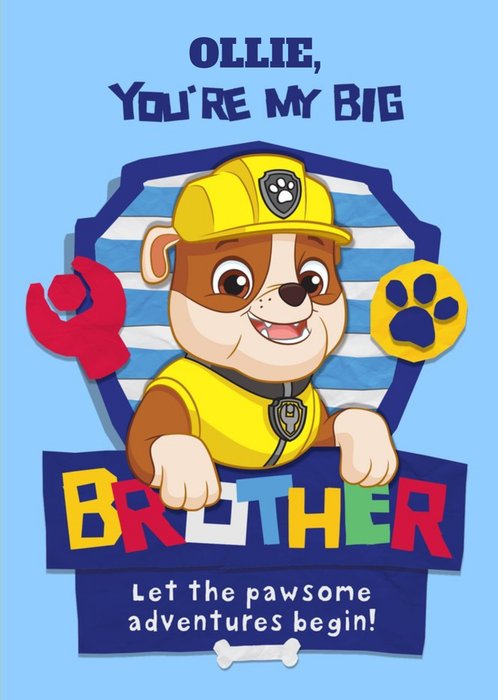 New baby - Brother - paw patrol