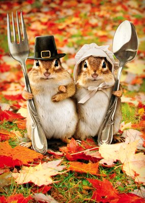 Chipmunks Happy Thanksgiving Card