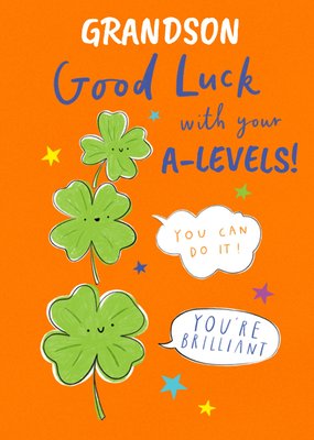 Paperlink Grandson You Can Do It You're Brilliant Illustrated Four Lead Clovers A Levels Good Luck Card