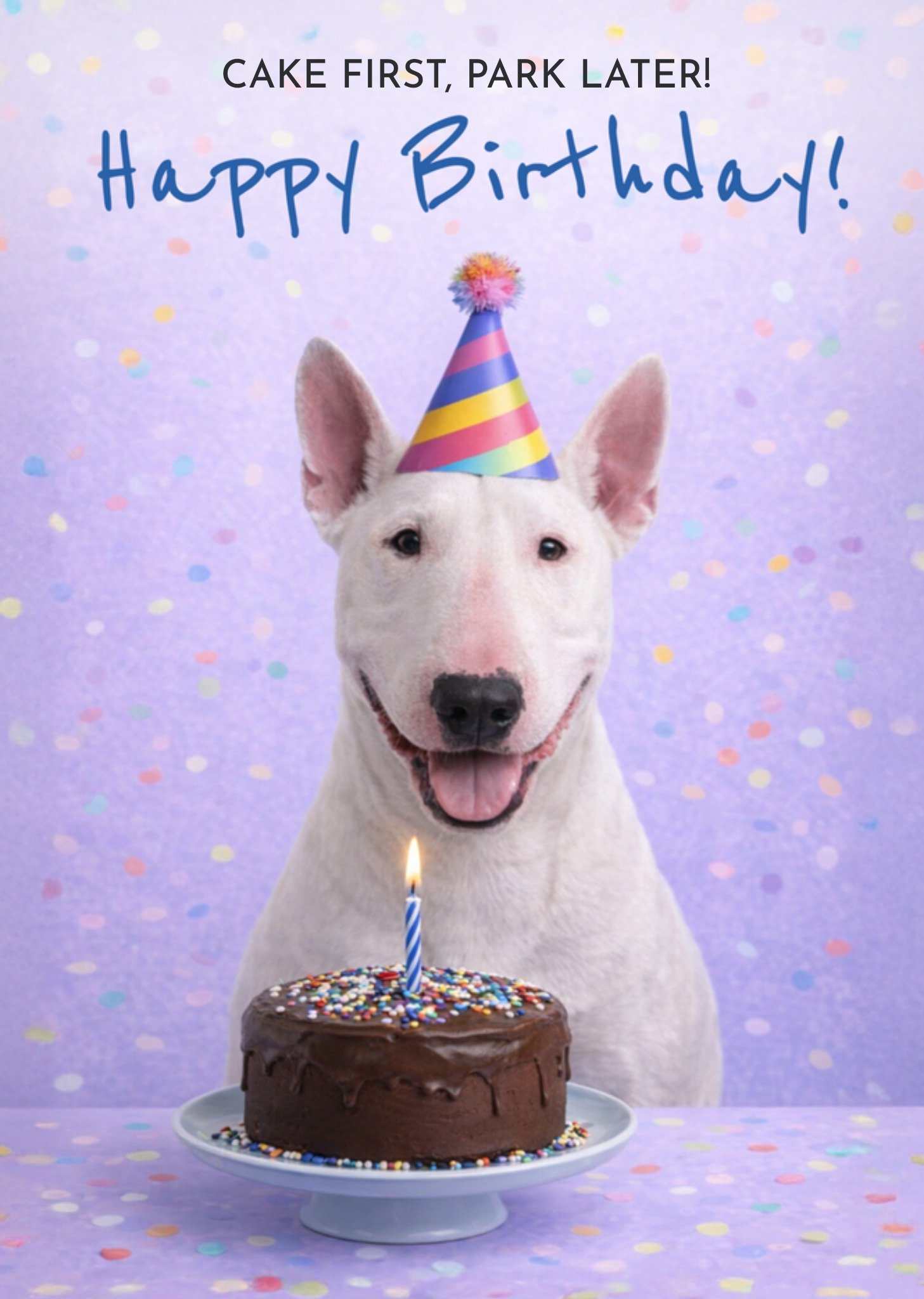 Moonpig Cake First Park Later Bull Terrier Birthday Card