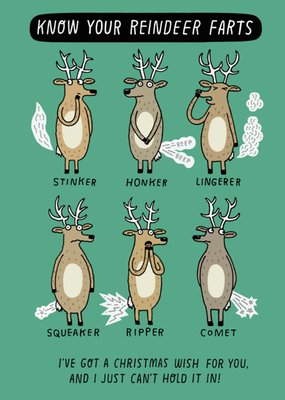 Know Your Reindeer Farts Christmas Card