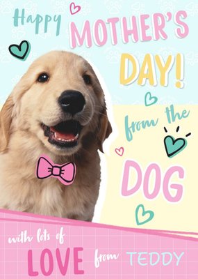 Animal Planet Happy Mother's Day From The Dog Cute Card