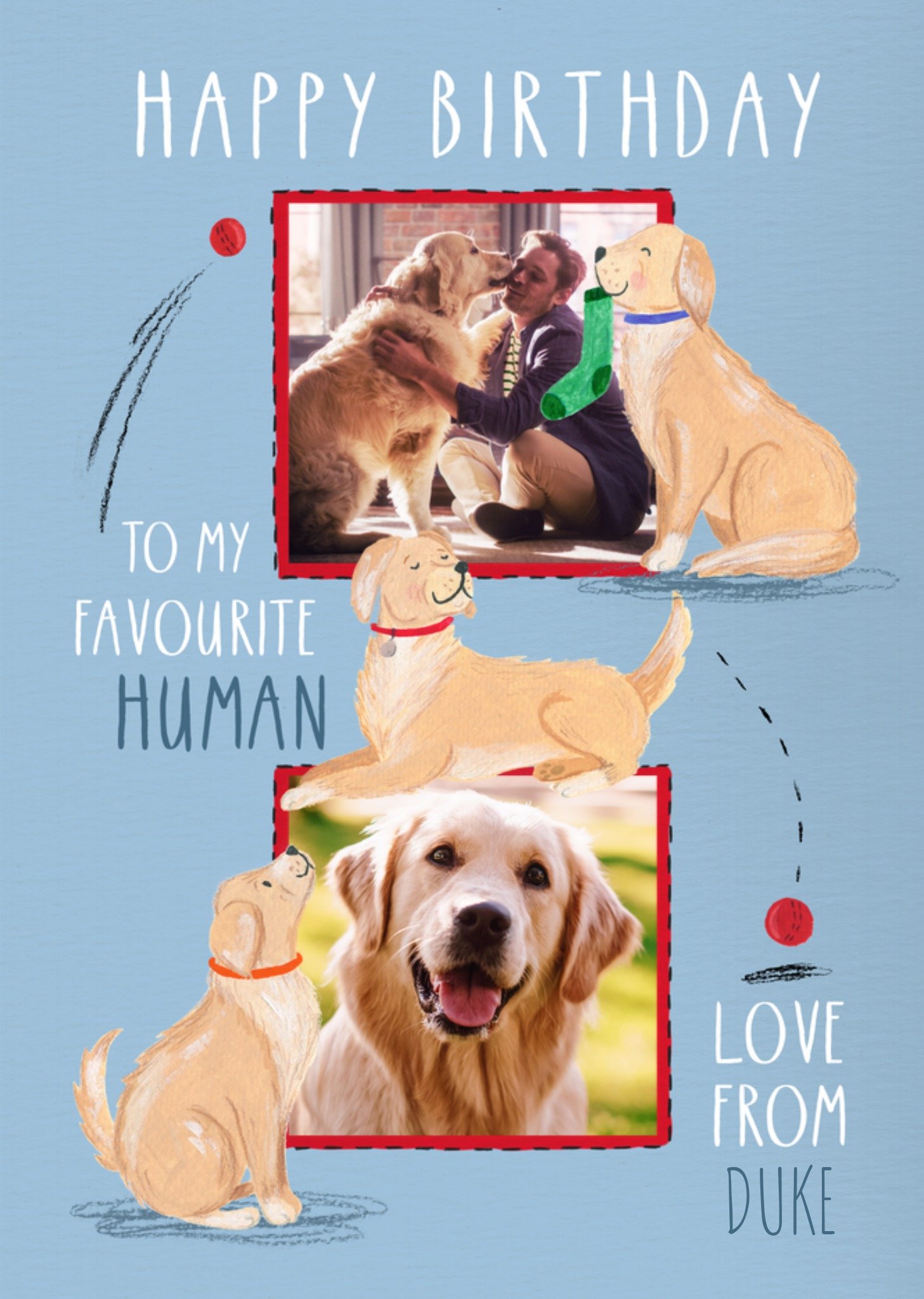 Moonpig Fun To My Favourite Human Illustrated Dogs Photo Upload Birthday Card
