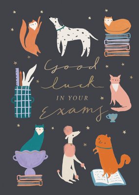 Good Luck In Your Exams Card