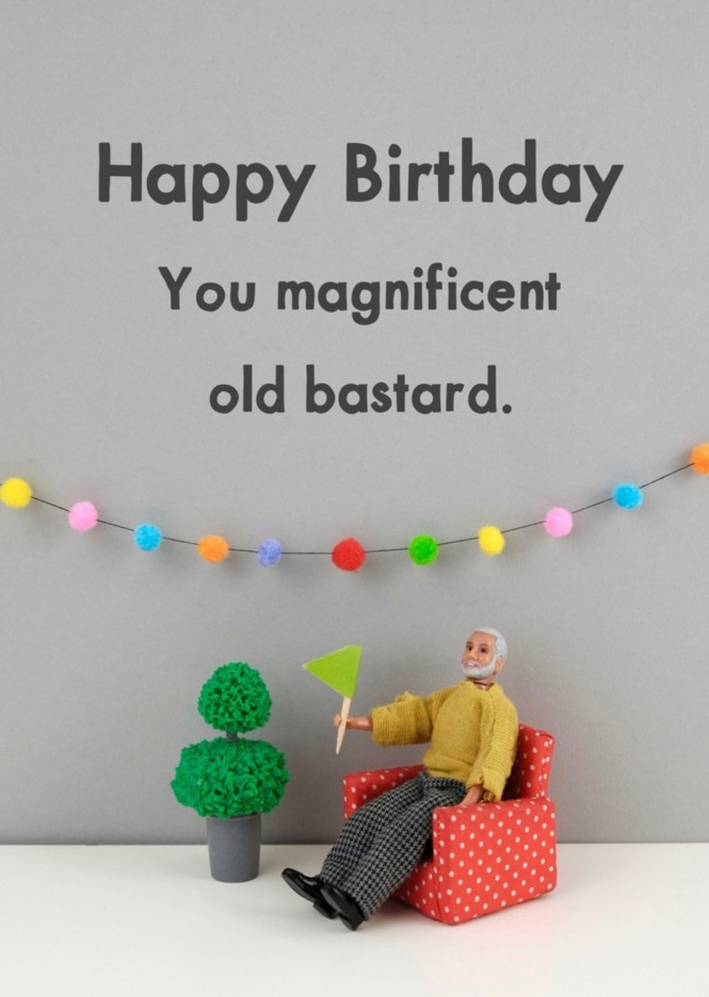 Bold And Bright Funny Dolls Magnificent Old Age Birthday Card