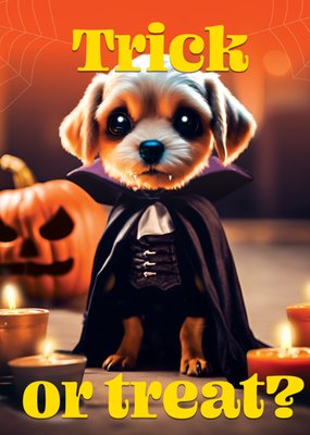Cute Vampire Puppy Dog Halloween Card