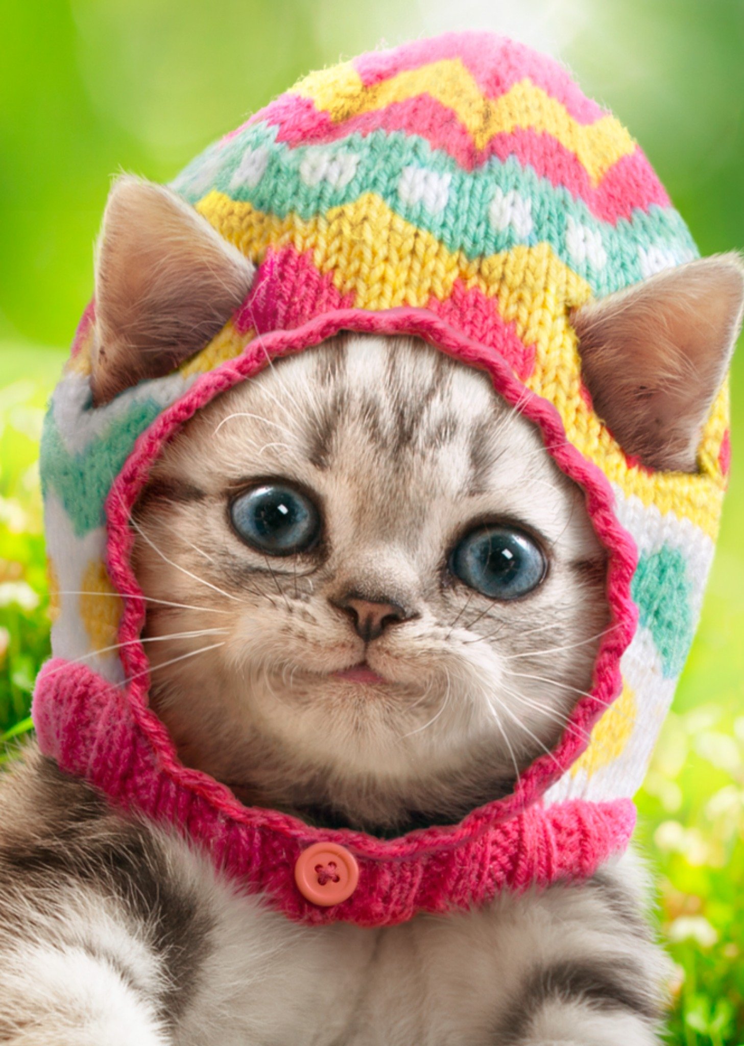 Moonpig Cute Tabby Kitten Wearing Knitted Easter Egg Hat Easter Card
