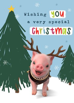 Moonpig Reindeer Pig Special Christmas eCard