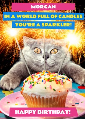 Avanti In A World Full Of Candles You're A Sparkerler Funny Cat Birthday Card