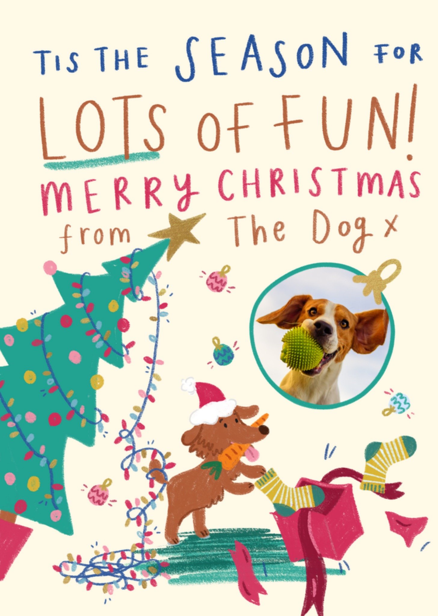 Moonpig Lots Of Fun Merry Christmas From The Dog Illustrated Photo Upload Dog Card