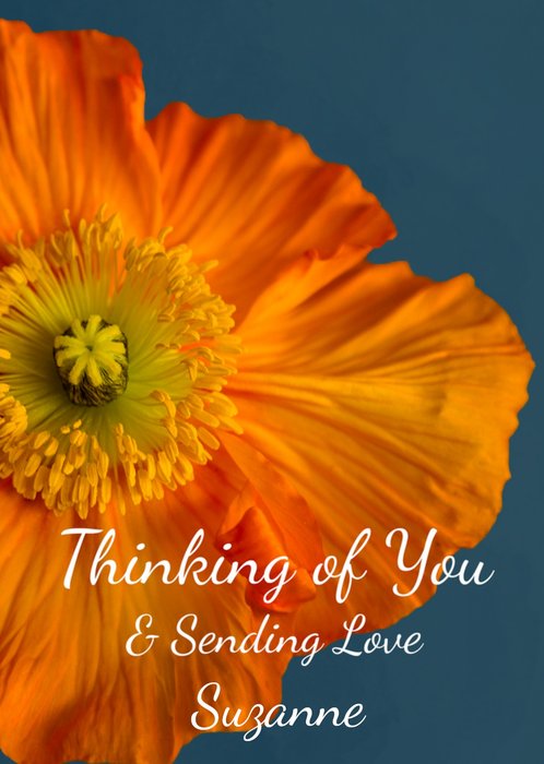 Alex Sharp Photography Orange Poppy Thinking Of You Sympathy Card