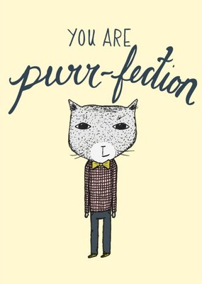 You Are Perfection Cat Card