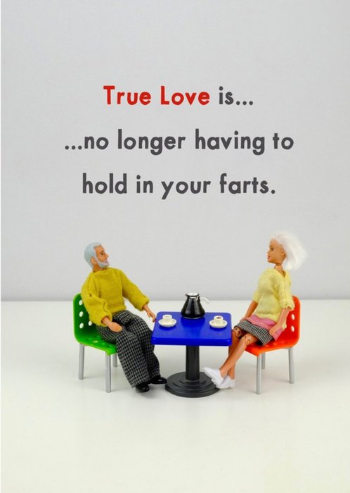 Funny Dolls True Love Is No Longer Having To Card