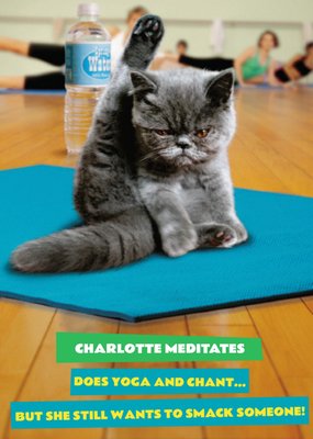 Avanti Maditates Does Yoga And Chant Still Wants To Smack Someone Funny Cat Card