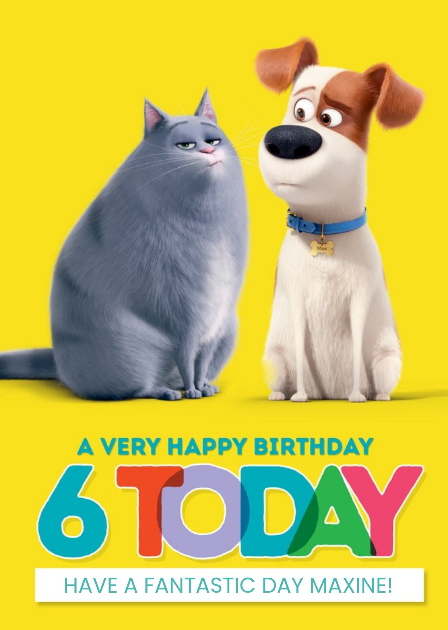 Moonpig The Secret Life Of Pets 6 Today Birthday Card