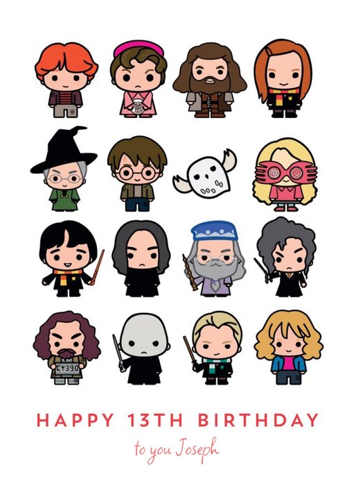 Harry Potter Ron Weasley Hermione Granger Luna Lovegood Dumbledore Hagrid Snape 13th Birthday Card