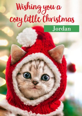 Cozy Christmas Cute Silver Tabby Cat Card