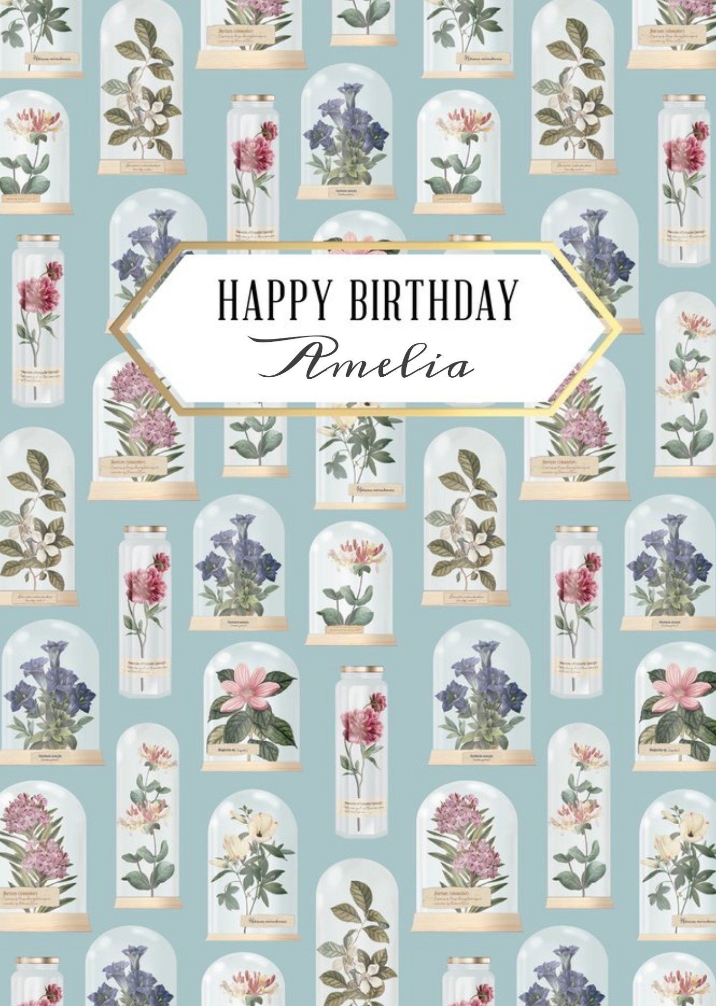 The Natural History Museum Natural History Museum Happy Birthday Terranium Card