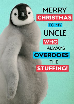 Stuffed Penguin Personalised Christmas Card