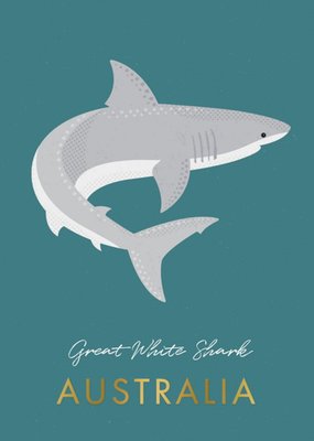 Sorcha Faulkner Illustrated Great White Shark Australia Card