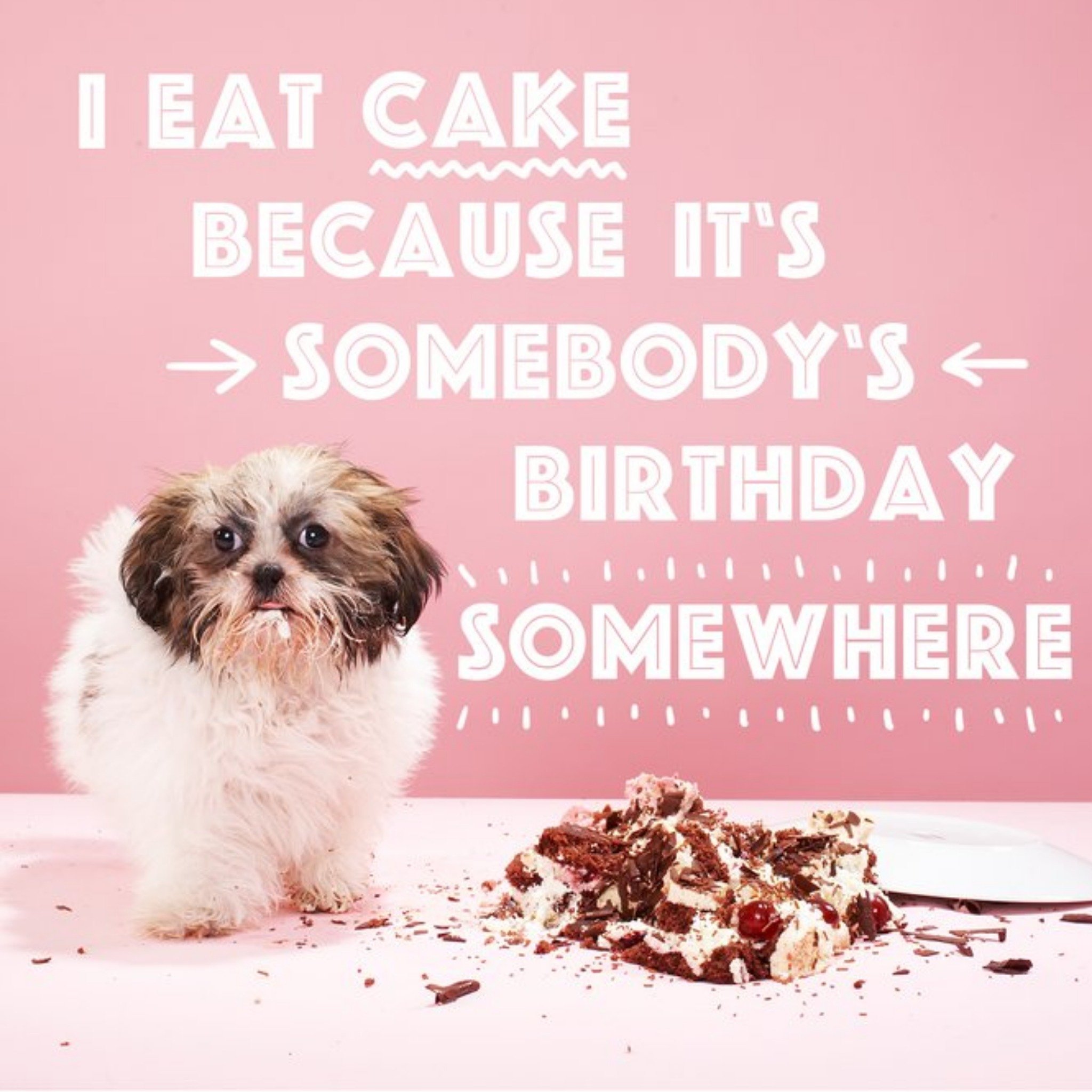 Moonpig I Eat Cake Because Its Somebodys Birthday Somewhere Card