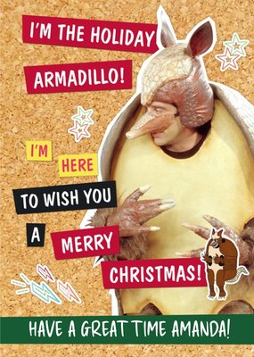 Friends TV The Holiday Armadillo! Merry Christmas