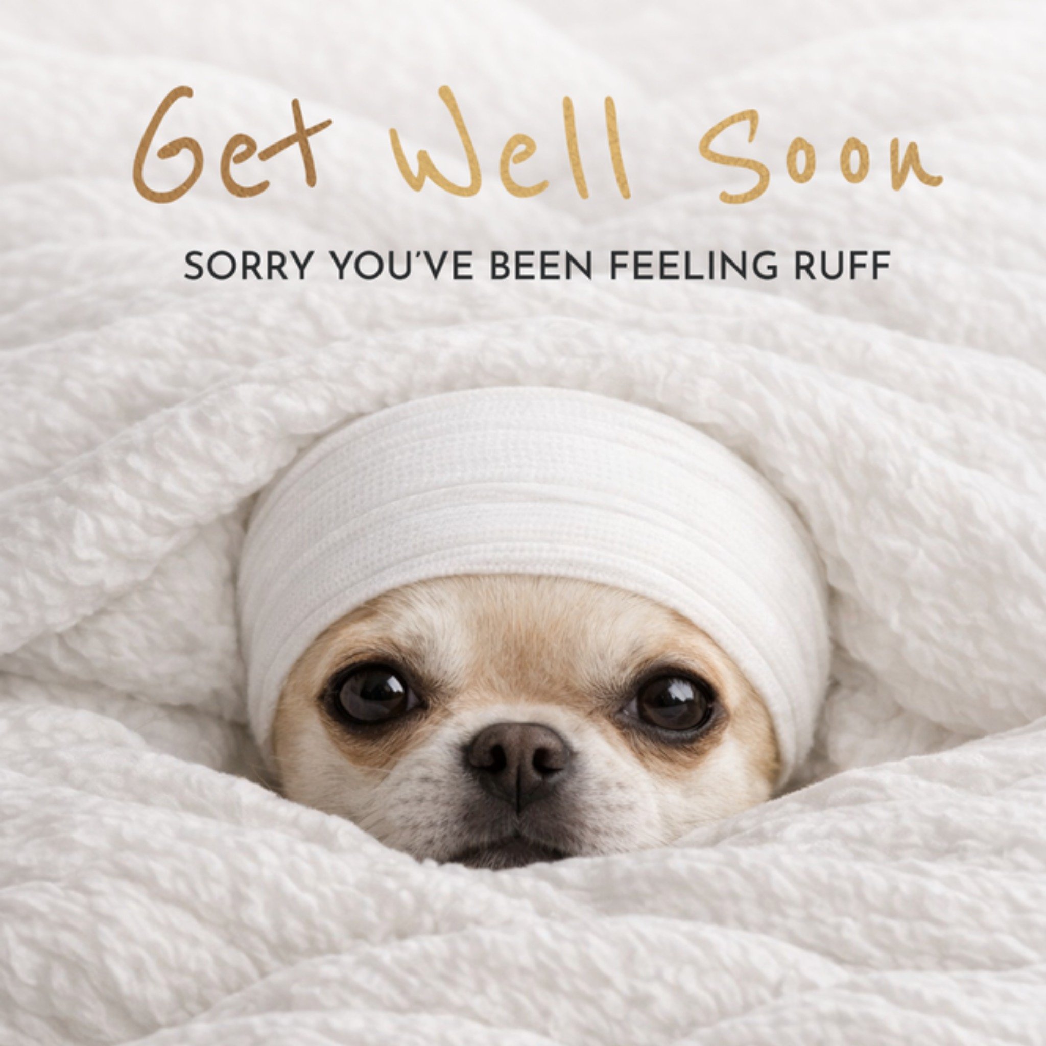 Moonpig Sorry You've Been Feeling Ruff Dog Get Well Soon Card