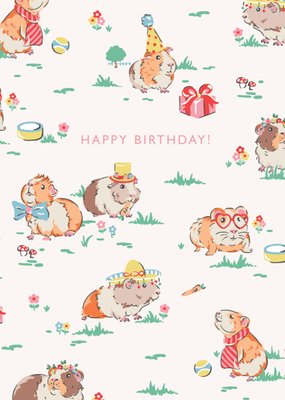 Guinea Pigs Illustrated Cath Kidston Happy Birthday Card 