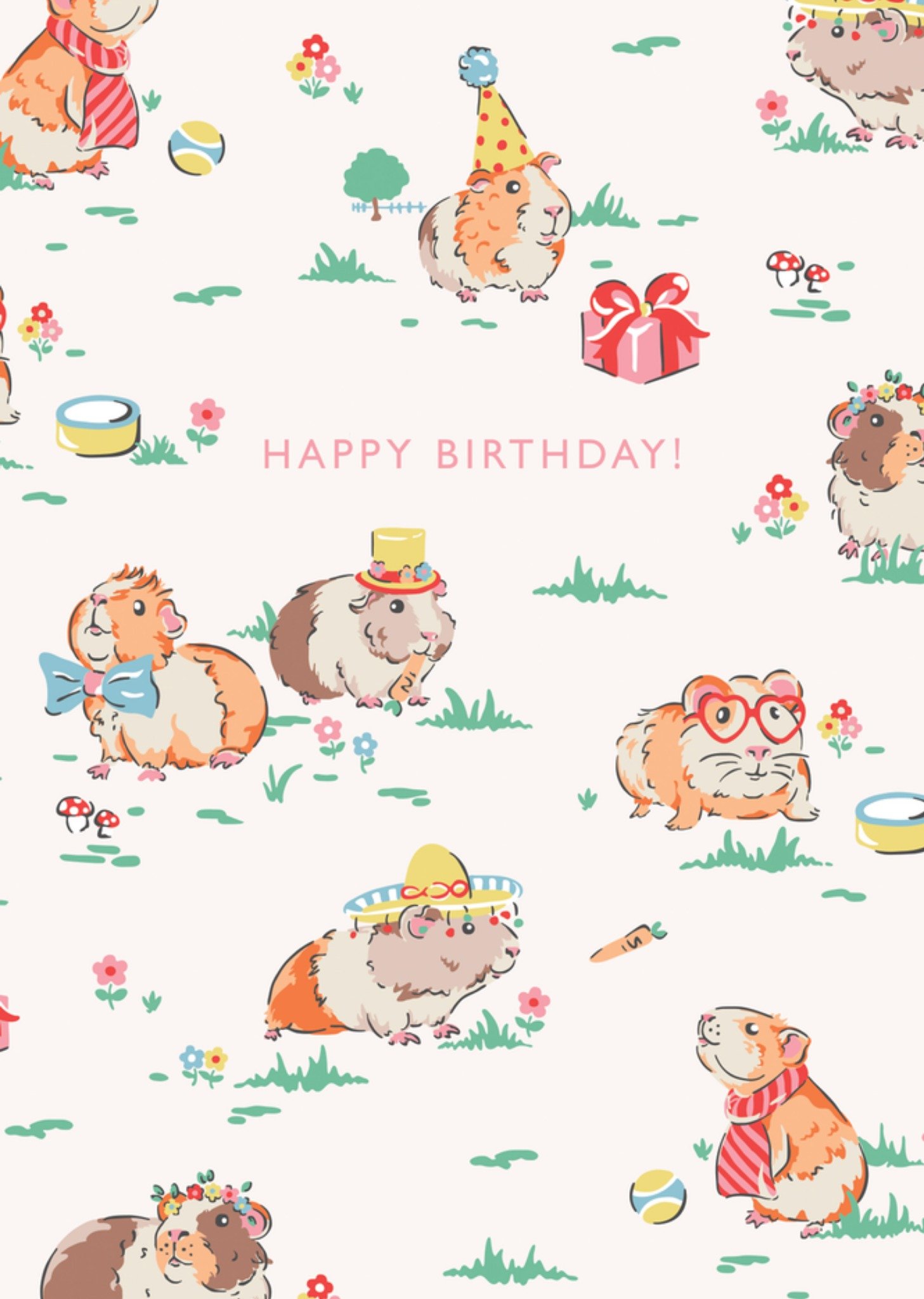 Guinea Pigs Illustrated Cath Kidston Happy Birthday Card