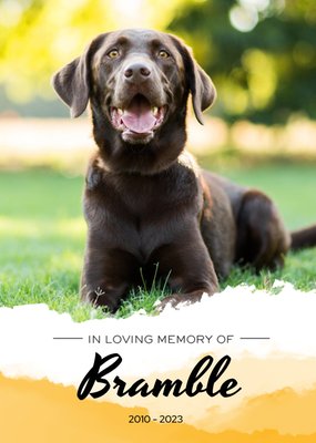 Pet Memorial Personalised Photo Upload Card In Loving Memory Card