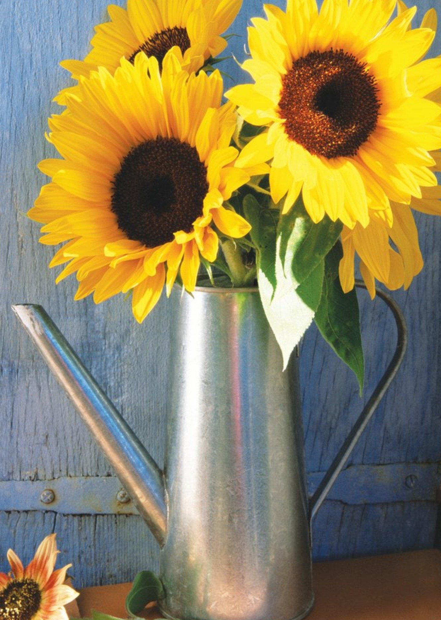 Moonpig Mother's Day Card - Sunflowers