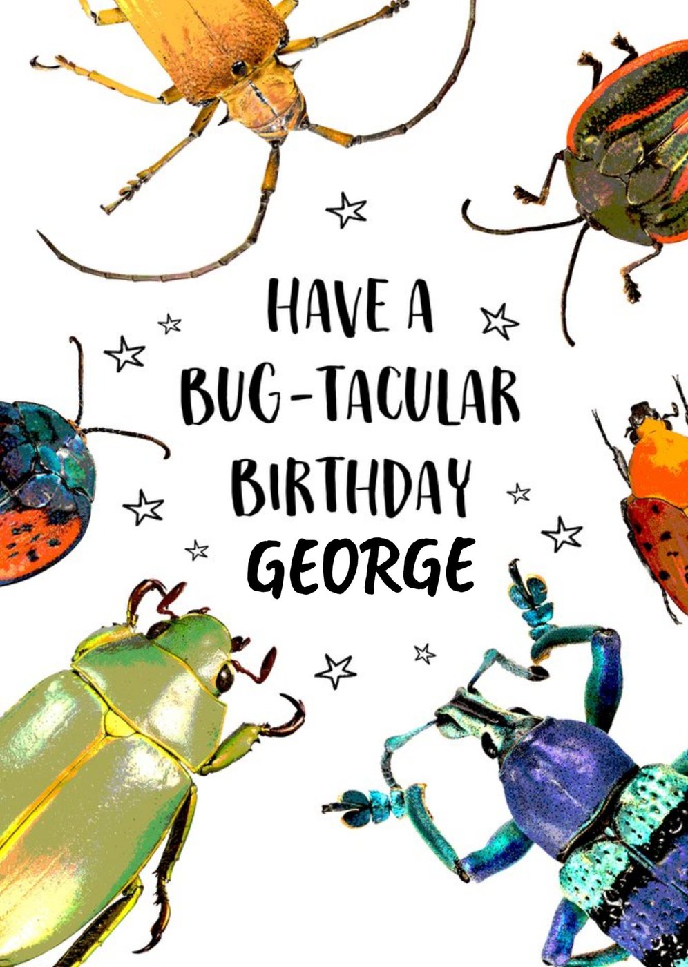 Bug Birthday Cards | Moonpig