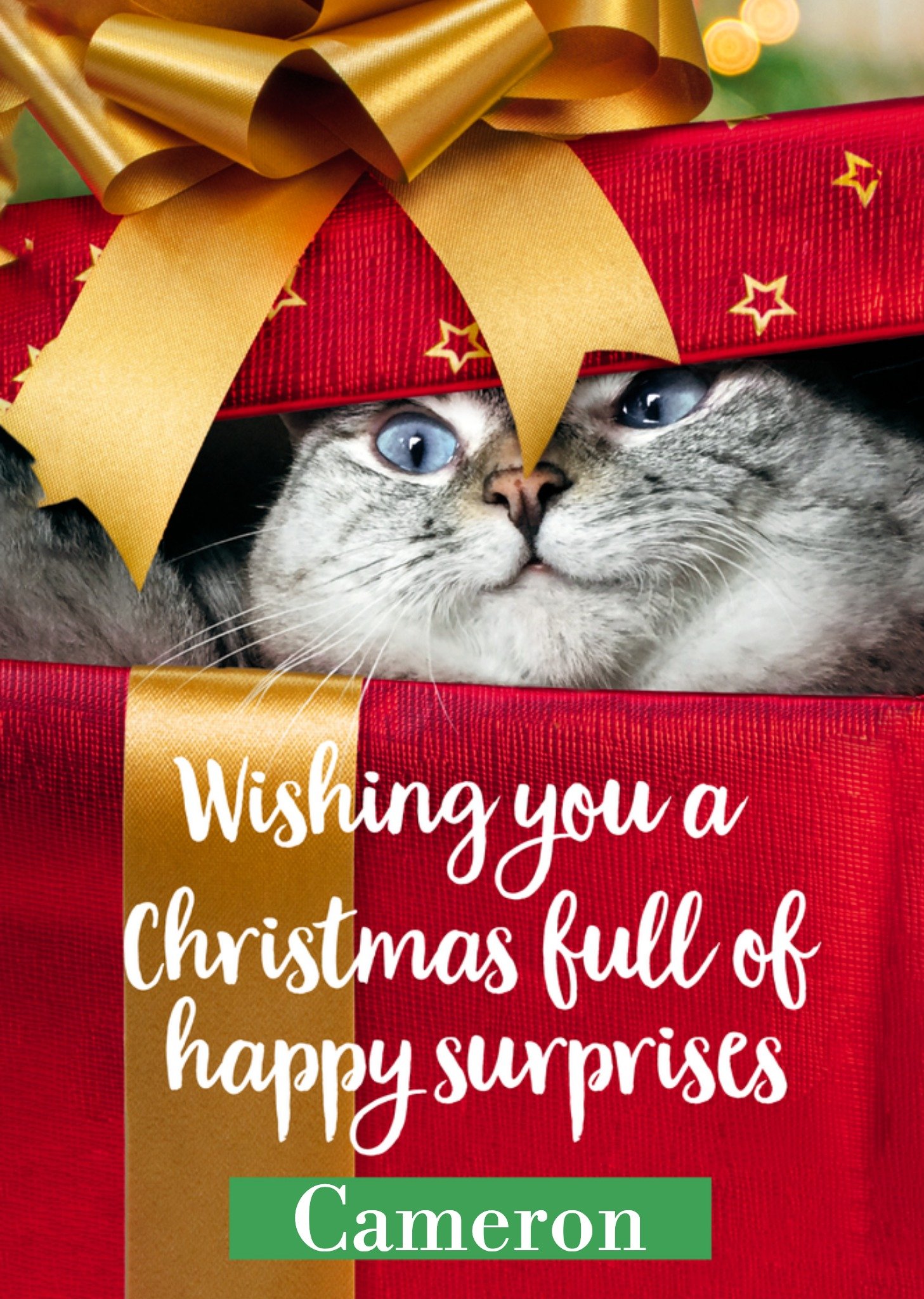 Moonpig Christmas Full Of Happy Surprises Cat Card