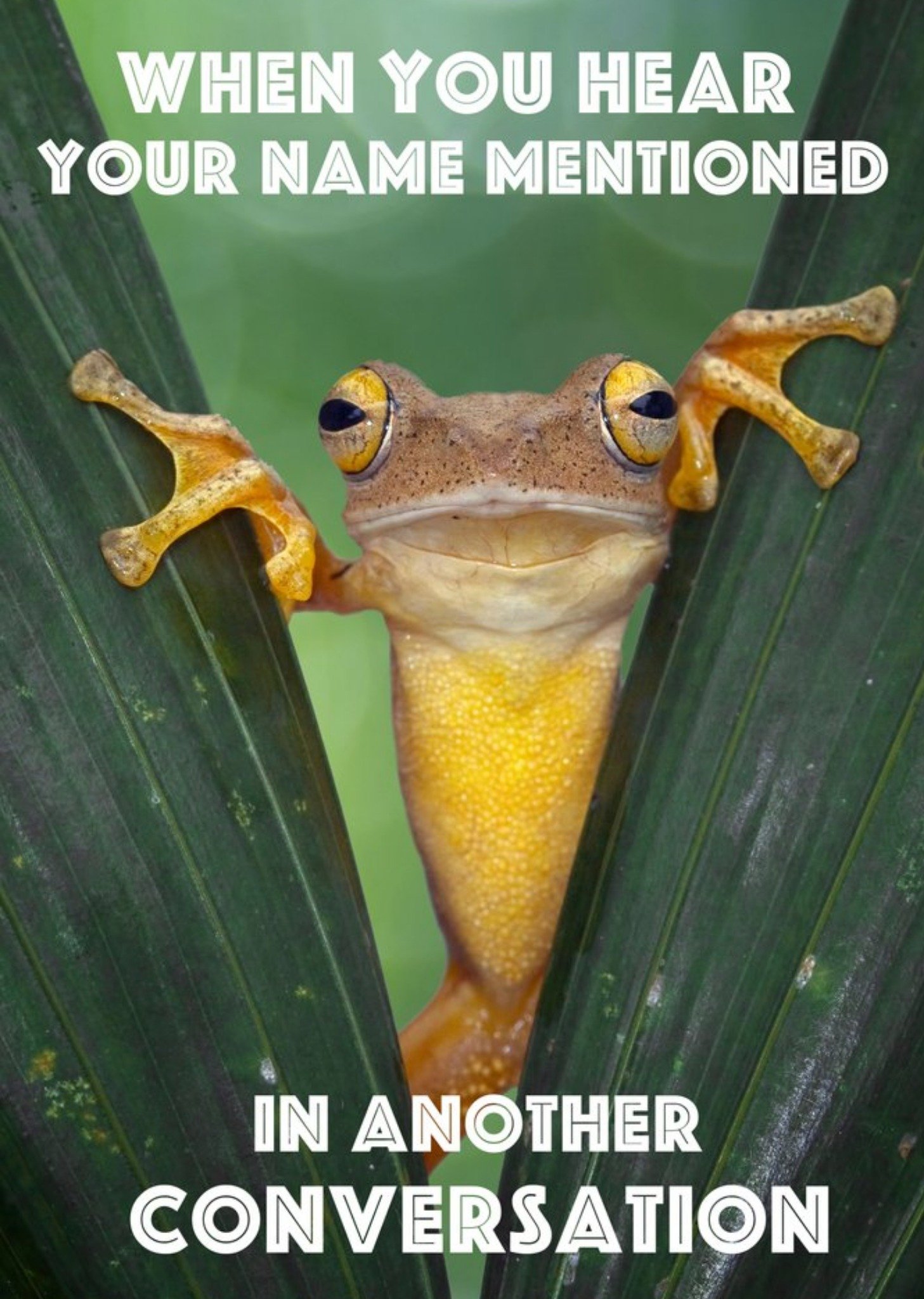 Moonpig Big Frog When You Hear Your Name Mentioned In Another Conversation Card